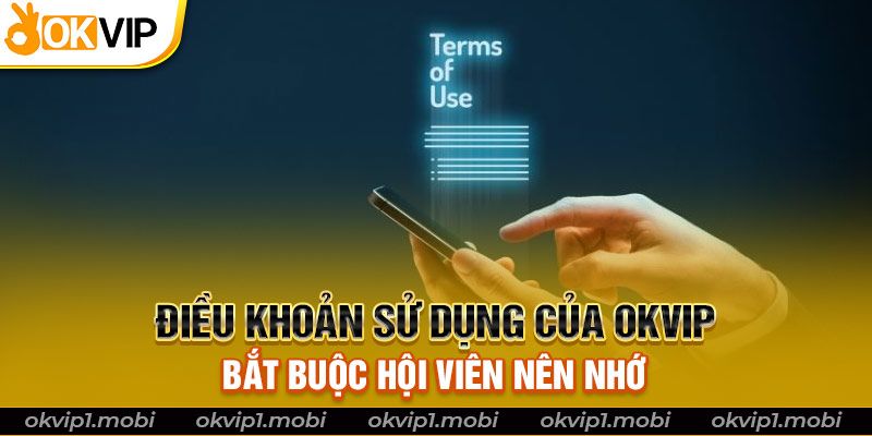 Điều Khoản Sử Dụng Của OKVIP Bắt Buộc Hội Viên Nên Nhớ