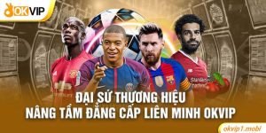 Đại Sứ Thương Hiệu | Nâng Tầm Đẳng Cấp Liên Minh Okvip